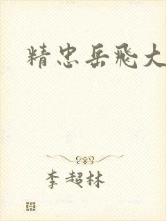 精忠岳飞大结局