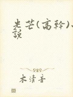 光芒(高干)小说