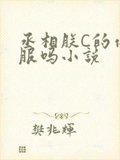 丞相朕C的你舒服吗小说