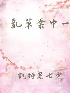 乱草丛中一杆枪