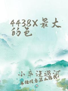 4438X最大的色