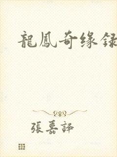 龙凤奇缘录