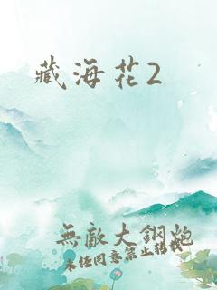藏海花2