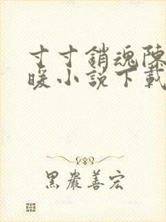 寸寸销魂陈聪王暖小说下载