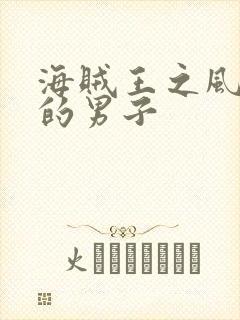 海贼王之风一样的男子