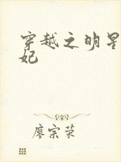 穿越之明星太子妃