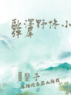 欧泽野佟小曼无弹屏