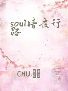 soul暗夜行路