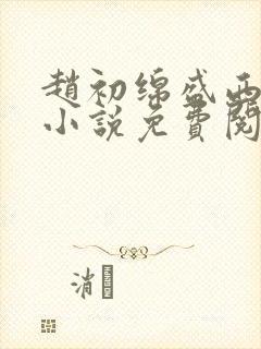 赵初绵盛西舫的小说免费阅读