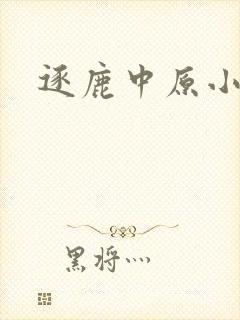 逐鹿中原小说
