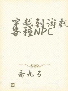 穿越到游戏里和各种NPC