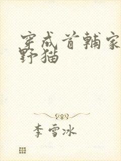 穿成首辅家的小野猫