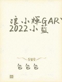 浪小辉GARY2022小蓝