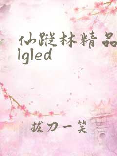 仙踪林精品zzlgled
