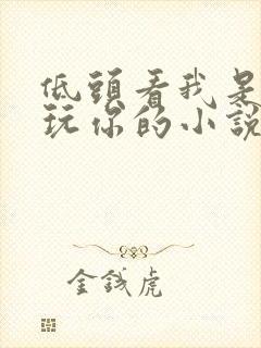 低头看我是怎么玩你的小说