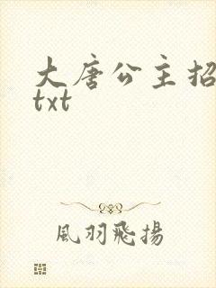 大唐公主招亲记txt