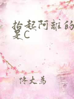抬起阿离的腿就是C