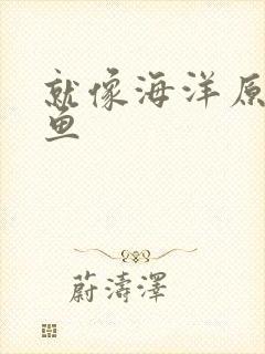 就像海洋原谅了鱼