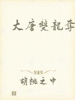 大唐双龙夺艳记