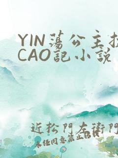 YIN荡公主挨CAO记小说