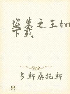 盗墓之王txt下载