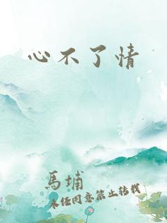 心不了情