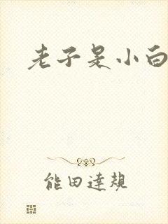老子是小白脸