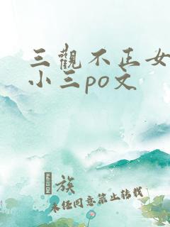 三观不正女主是小三po文