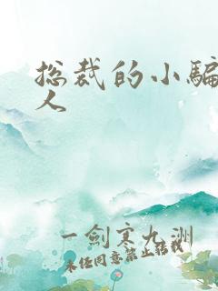 总裁的小骗子情人