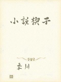 小说楔子
