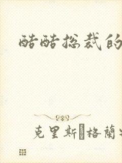 酷酷总裁的情人