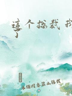 这个总裁 我要了