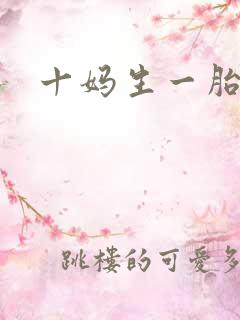 十妈生一胎