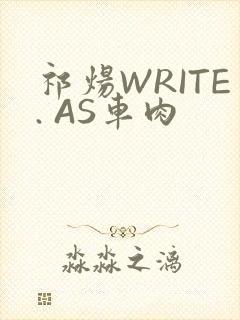 祁炀WRITE. AS车肉