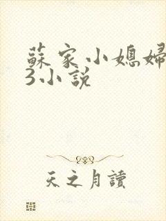 苏家小媳妇1V3小说