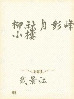 柳秋月彭峰月满小楼