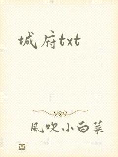 城府txt