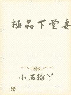 极品下堂妻