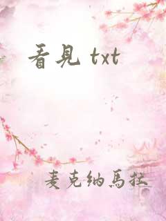 看见 txt