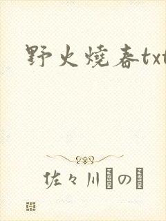 野火烧春txt