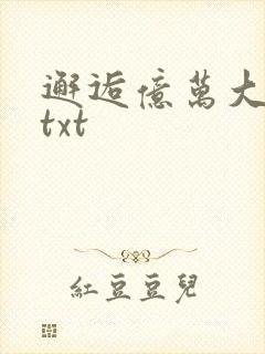 邂逅亿万大人物txt