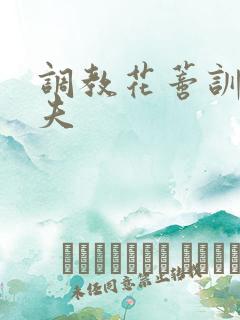 调教花蒂训诫从夫