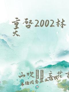 重启2002林天