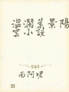 温澜叶景阳温云云小说