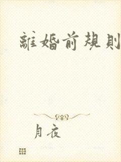 离婚前规则小说