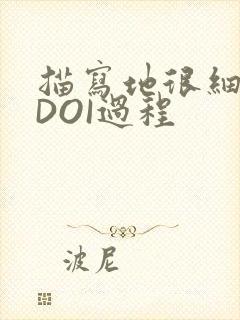 描写地很细致的DOI过程