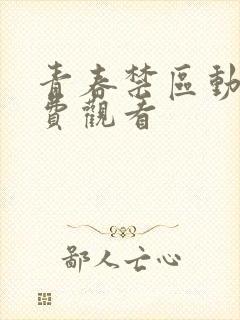 青春禁区动漫免费观看