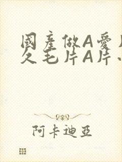 国产做A爱片久久毛片A片小说