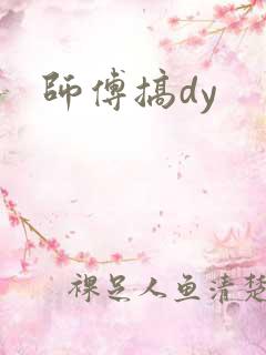 师傅搞dy