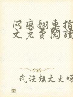 网恋翻车指南全文免费阅读完整版